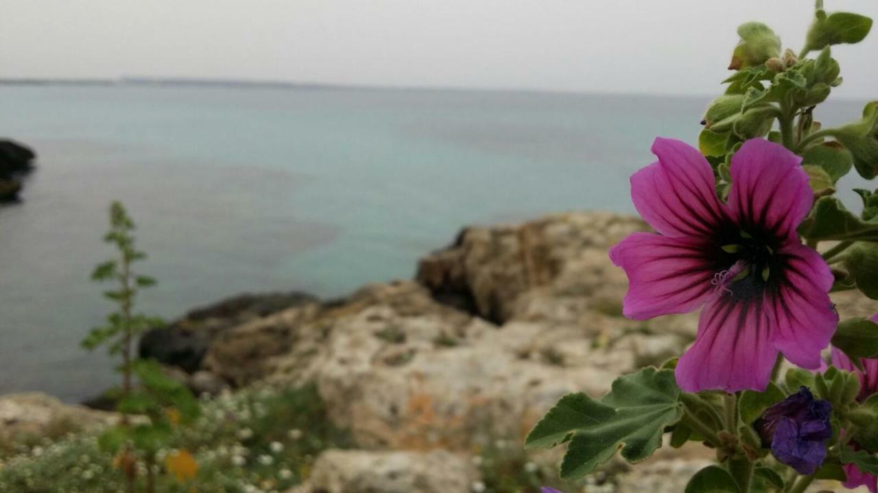 252 Via Udine Villa Gallipoli Bagian luar foto